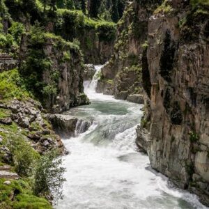 Calm & Cozy Kashmir Retreat