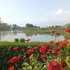 Colorful Adventure Experience