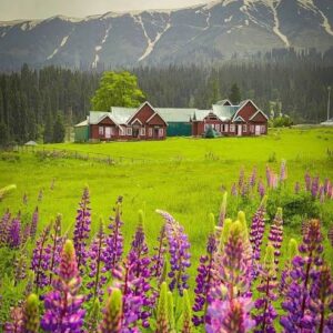 Pocket-Friendly Ladakh Tour